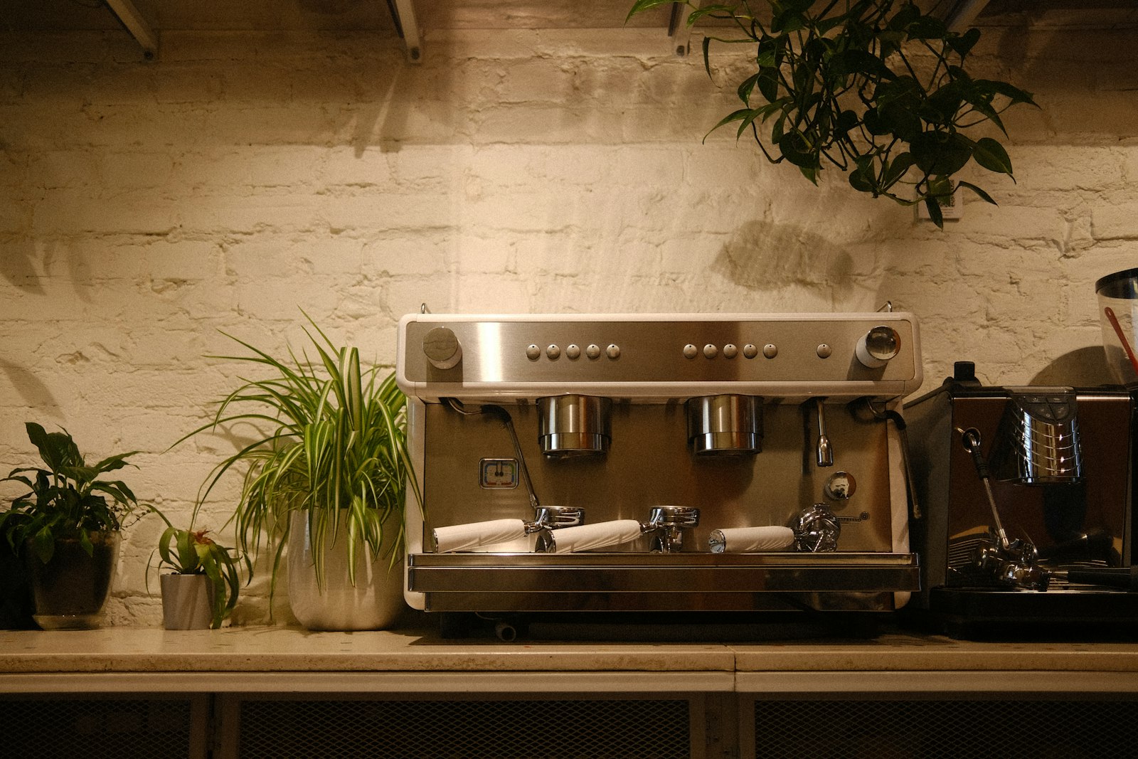 Cozy cafe corner with plants